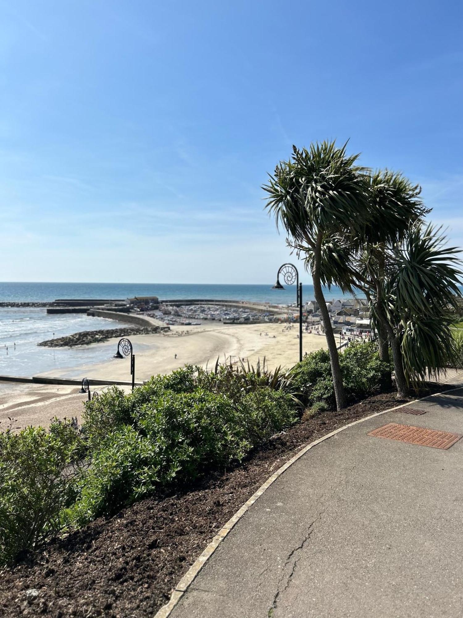 Lucerne B&B Lyme Regis Dış mekan fotoğraf